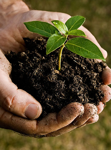 Окружающая среда